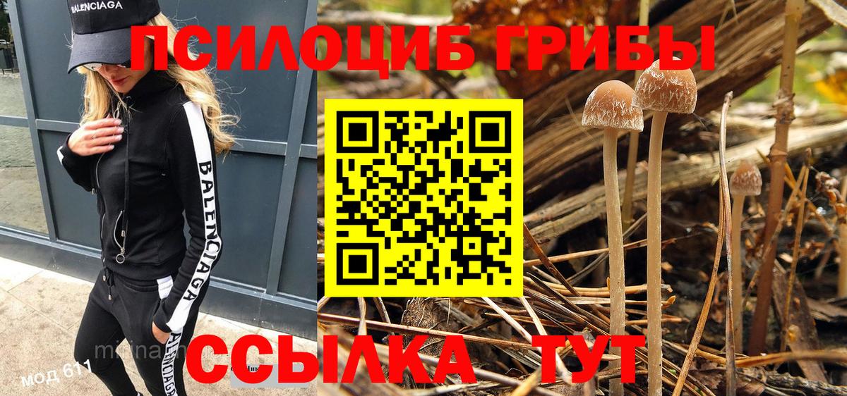 Галлюциногенные грибы Cubensis Верхняя Салда